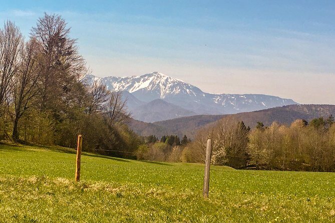 Exploring the Gutenstein Alps - Forest to plateau: where the Schneeberg views land