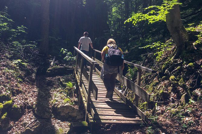 Exploring the Gutenstein Alps - Country road finish: pastures, cows, and a softer landing