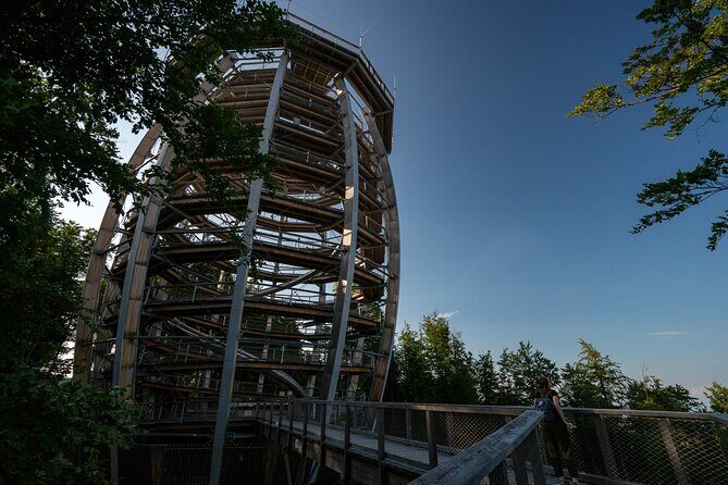 Immersive Private Tour: Hallstatt After the Crowds & Treetop Path - Vienna Pickup and the Kia Carens Comfort Setup