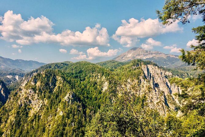 Ötschergräben Grand Canyon of Austria - Stop 1: Otschergraben Trail—Waterfalls, Wooden Bars, and River Time