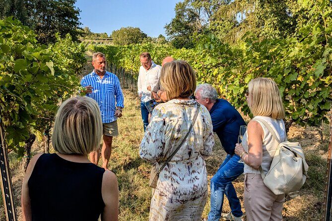 Small-group Vienna Wine Tour - Art-historian walking tour meets Vienna wine culture