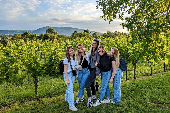 Small-group Vienna Wine Tour - Vineyard walk and tasting: what you’re really paying for