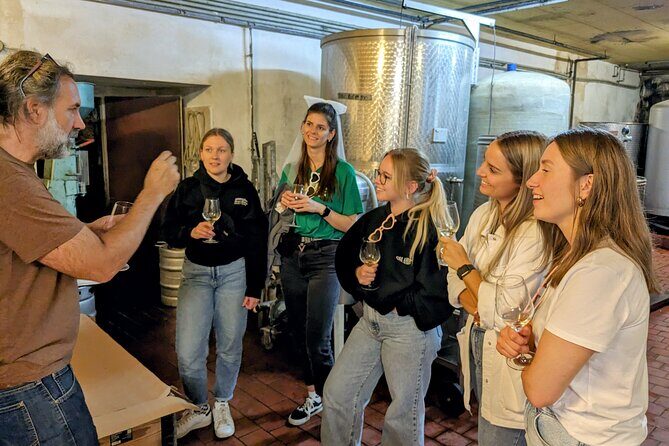 Small-group Vienna Wine Tour - Timing and group size: small enough to matter