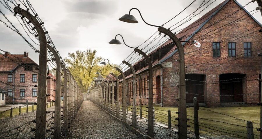 Vienna: Auschwitz Birkenau Full-Day Tour w/ Hotel Transfers - Transport and timing: Vienna pickup comfort, with one real-world warning