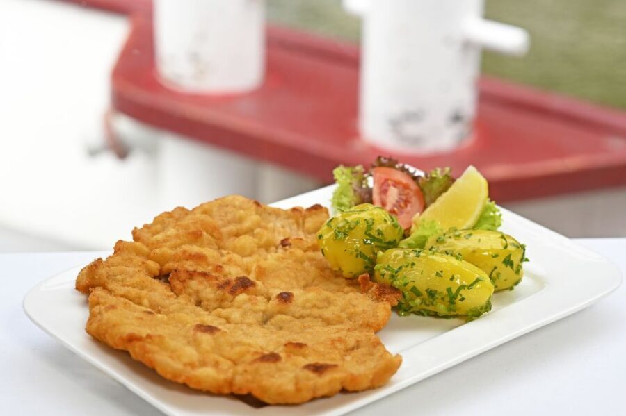Vienna: Cruise and Schnitzel Tour - Quick practical tips for your best day on board