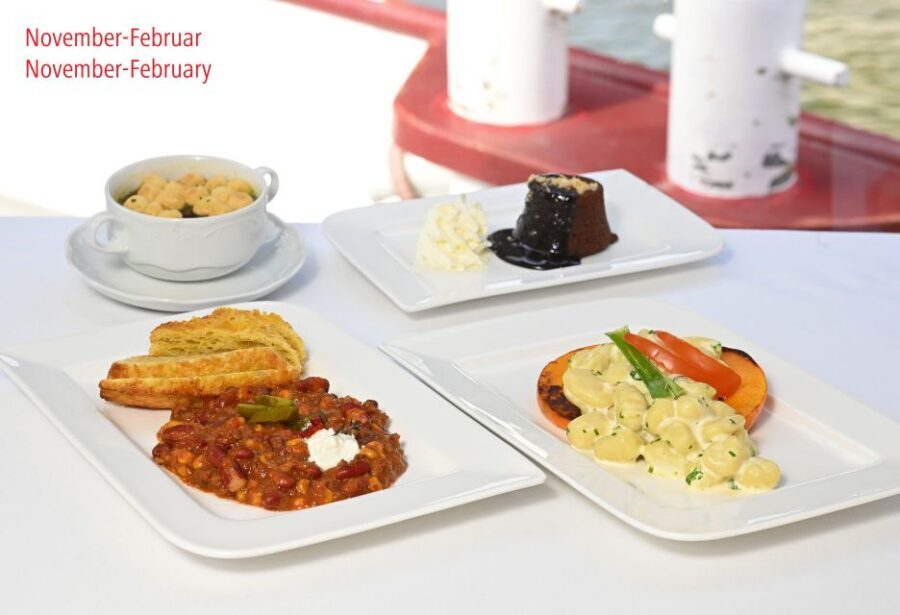 Vienna: Danube River Cruise w/ optional Viennese Specialties - The route itself: Danube plateau to the Nussdorf lock system