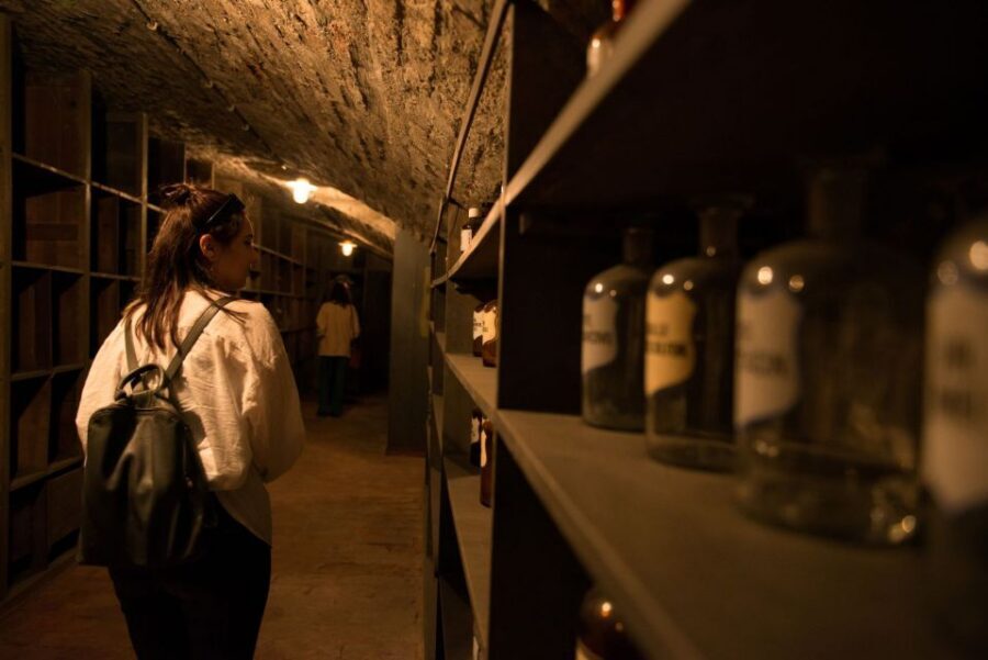 Vienna: Historical Pharmacy Cellar Guided Tour - Entering The Underground Pharmacy World Beneath Vienna