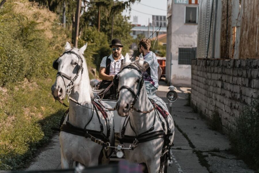 Vienna: Secrets of the Fiaker & Horse-Drawn Carriage Ride - Where you end up: Michaelerplatz, Stephansplatz, and the Falco breakfast option