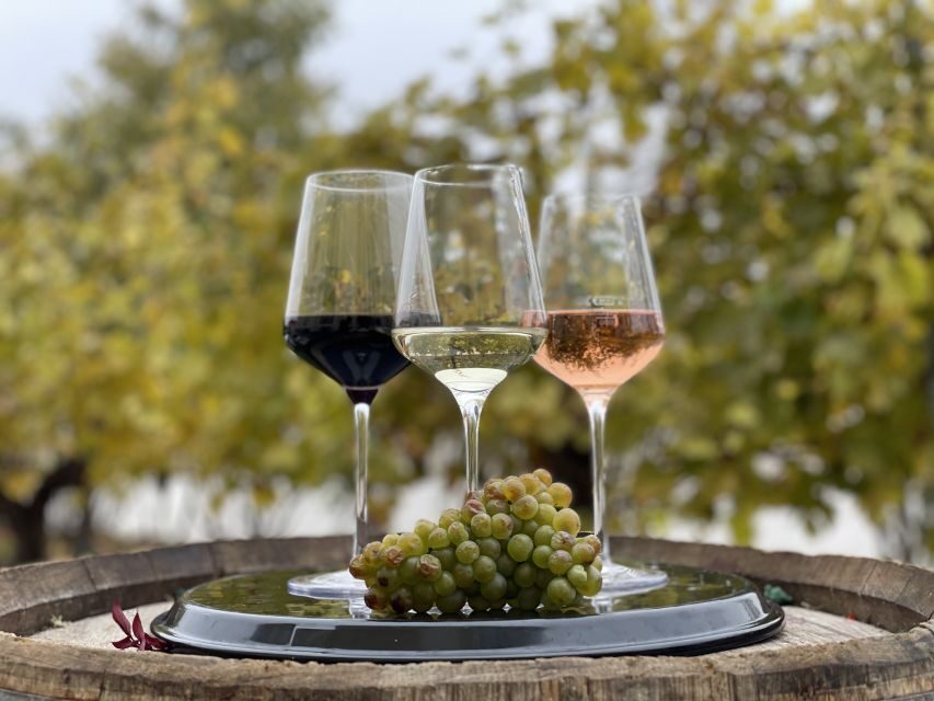 Vienna: Wine Tasting at Schönbrunn Palace - Meeting at Restaurant Joseph II and How to Start Smoothly