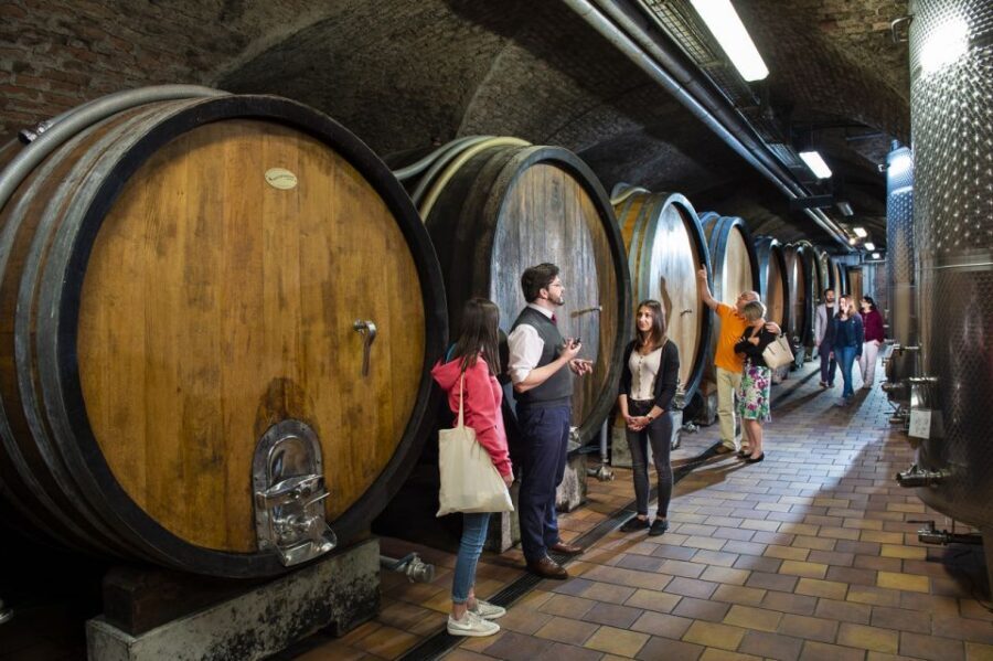 Vienna: Wine Tasting E-Bike Tour - Entering the Vienna-to-Danube rhythm on an e-bike