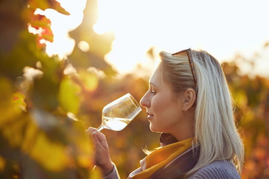 Vienna: Winery and Wine Tasting Tour with a Wine Expert - Key Things I’d Note Before You Go