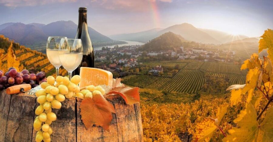 Vienna: Winery and Wine Tasting Tour with a Wine Expert - Vienna Wine Tasting With a Private Wine Expert: What You’re Really Buying