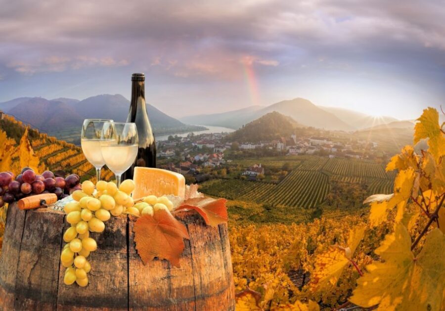 Vienna: Winery and Wine Tasting Tour with a Wine Expert - Pairings and Appetizers: Why the 3-Hour Option Feels More Like Dinner