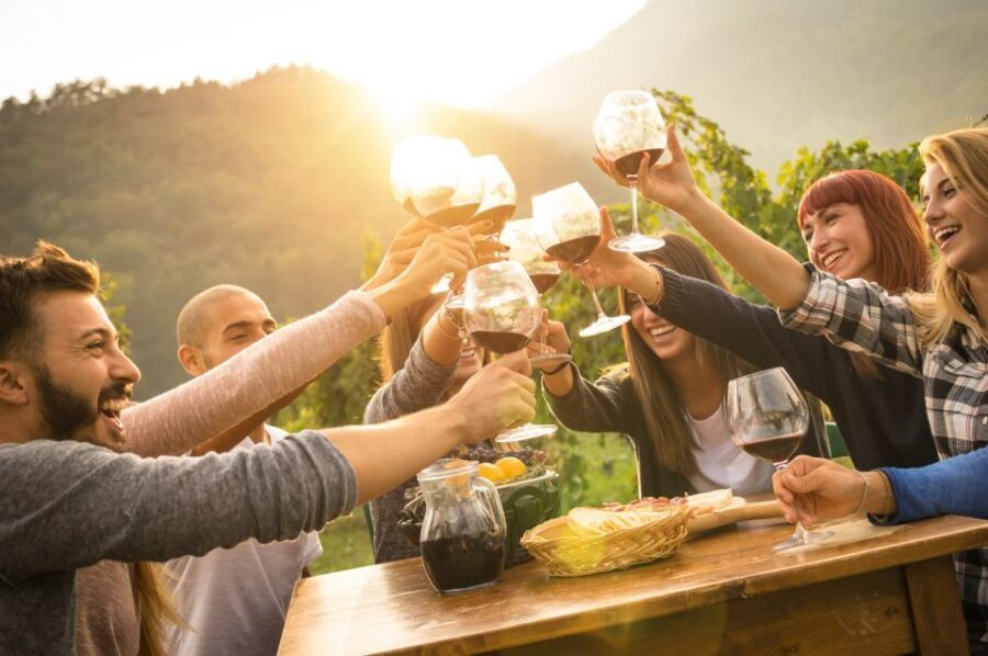 Vienna: Winery and Wine Tasting Tour with a Wine Expert - Price and Value: Does $309 Make Sense for a Short Private Tour?