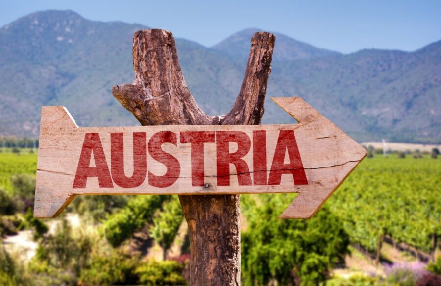 Vienna: Winery and Wine Tasting Tour with a Wine Expert - Who This Tour Fits Best (And Who Should Skip It)