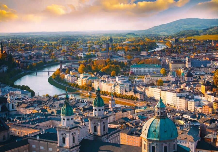 Vienna: Winery and Wine Tasting Tour with a Wine Expert - Practical Tips to Make Your Tasting Smoother